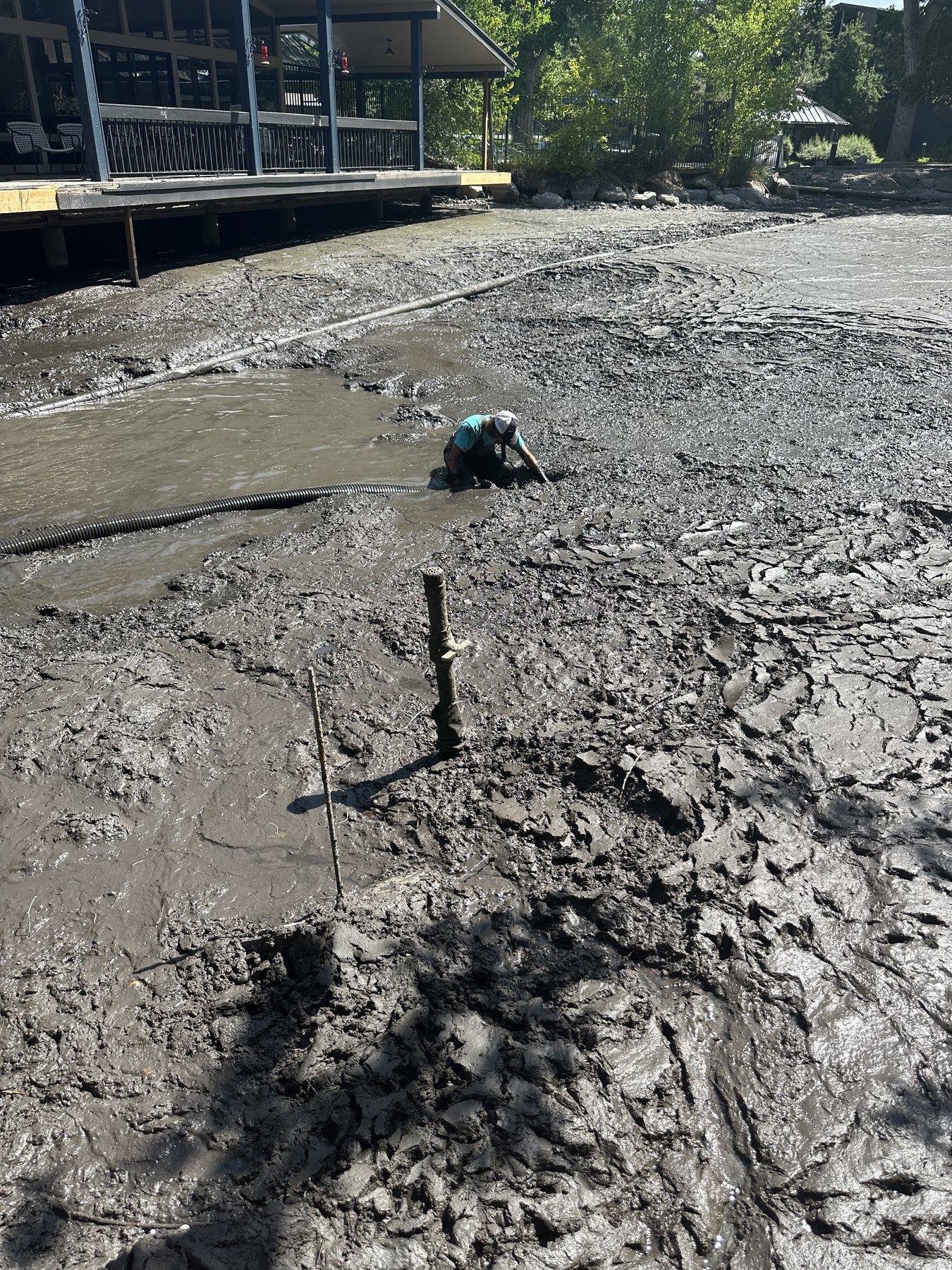 Detail image from restoration field work