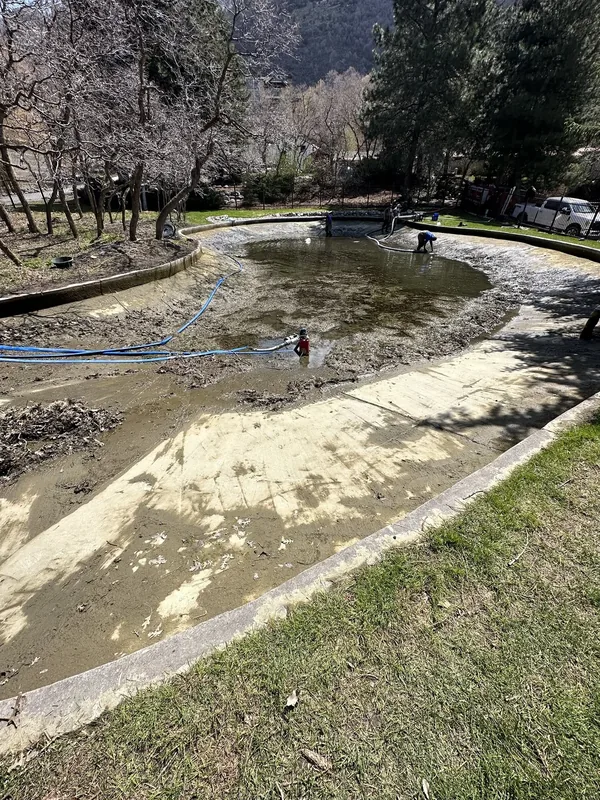 Pond edge cleaning